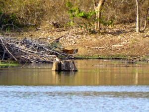 P1050989 - Version 3