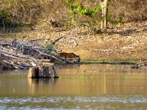 P1050991 - Version 2